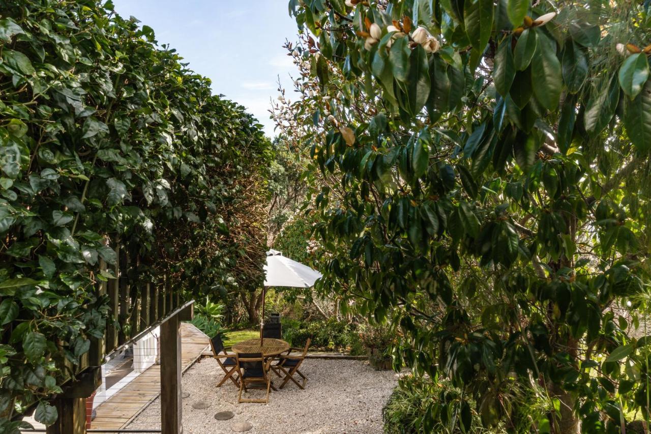 Kowhai Cottage & Studio Раглан Экстерьер фото